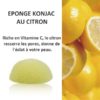 Eponge de konjac au citron biodégradable. Naturellement riche en vitamine C. Sans additifs ni colorants elle exfoliera donc sans agressivité et équilibrera le PH ou acidité de la peau en douceur.